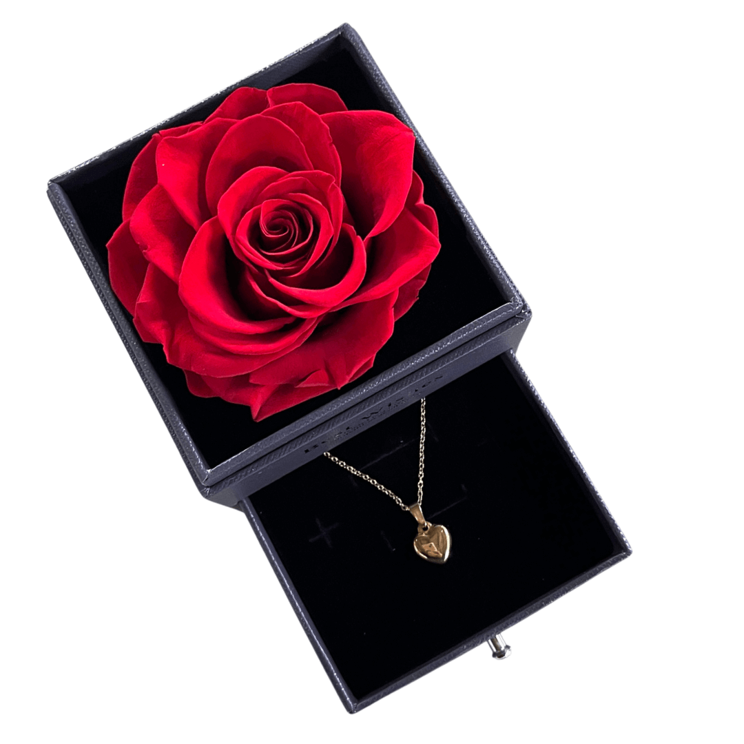 Preserved Rose Necklace